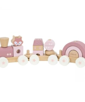 Darveno-vlakche-za-podrezhdane-v-rozovo-Polar-B